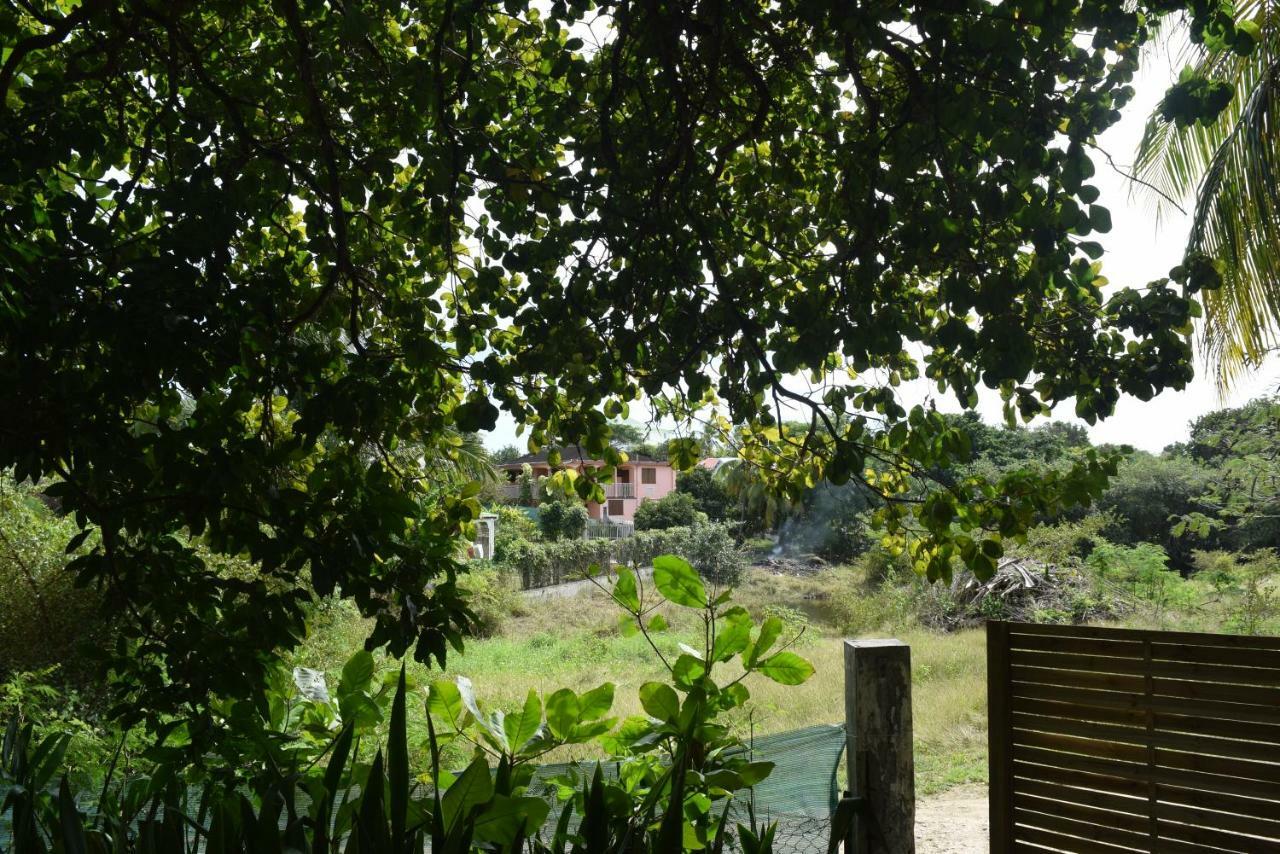 Bungalows Les Vagues Abondes Vila Sainte-Anne  Exterior foto