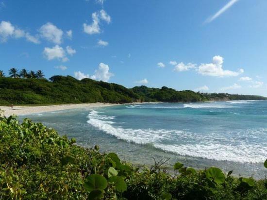 Bungalows Les Vagues Abondes Vila Sainte-Anne  Exterior foto