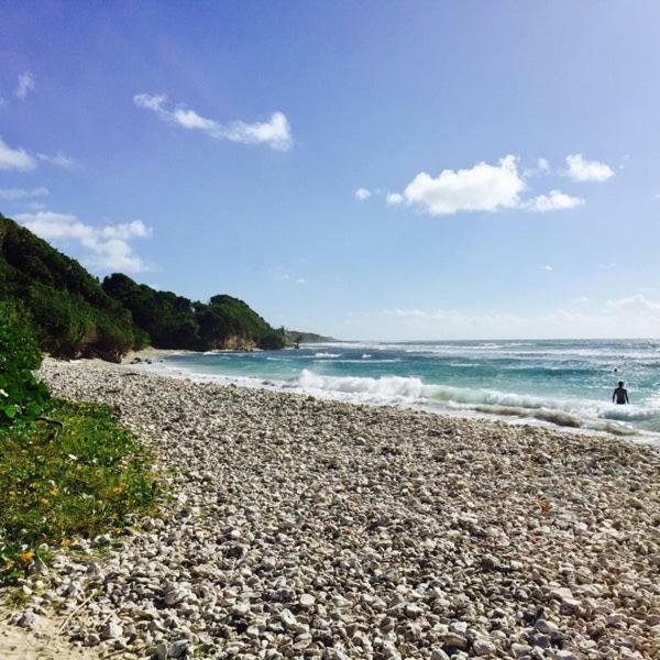 Bungalows Les Vagues Abondes Vila Sainte-Anne  Exterior foto